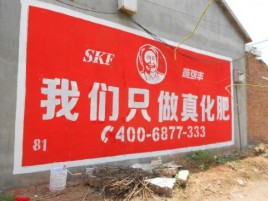 竹溪刷墙广告”蕴含了时代命题