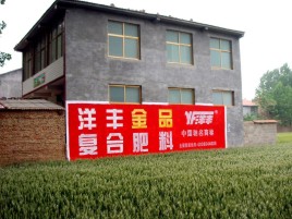 竹溪如何让墙体广告展现最大化效果