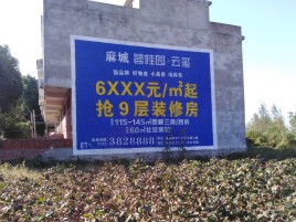 竹溪墙体广告的好处